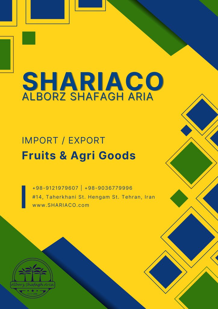 Teal Photo Car Catalog Flyer(2)